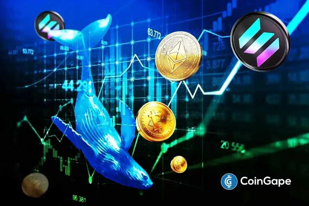 Bitcoin Whale Bets on Shorts